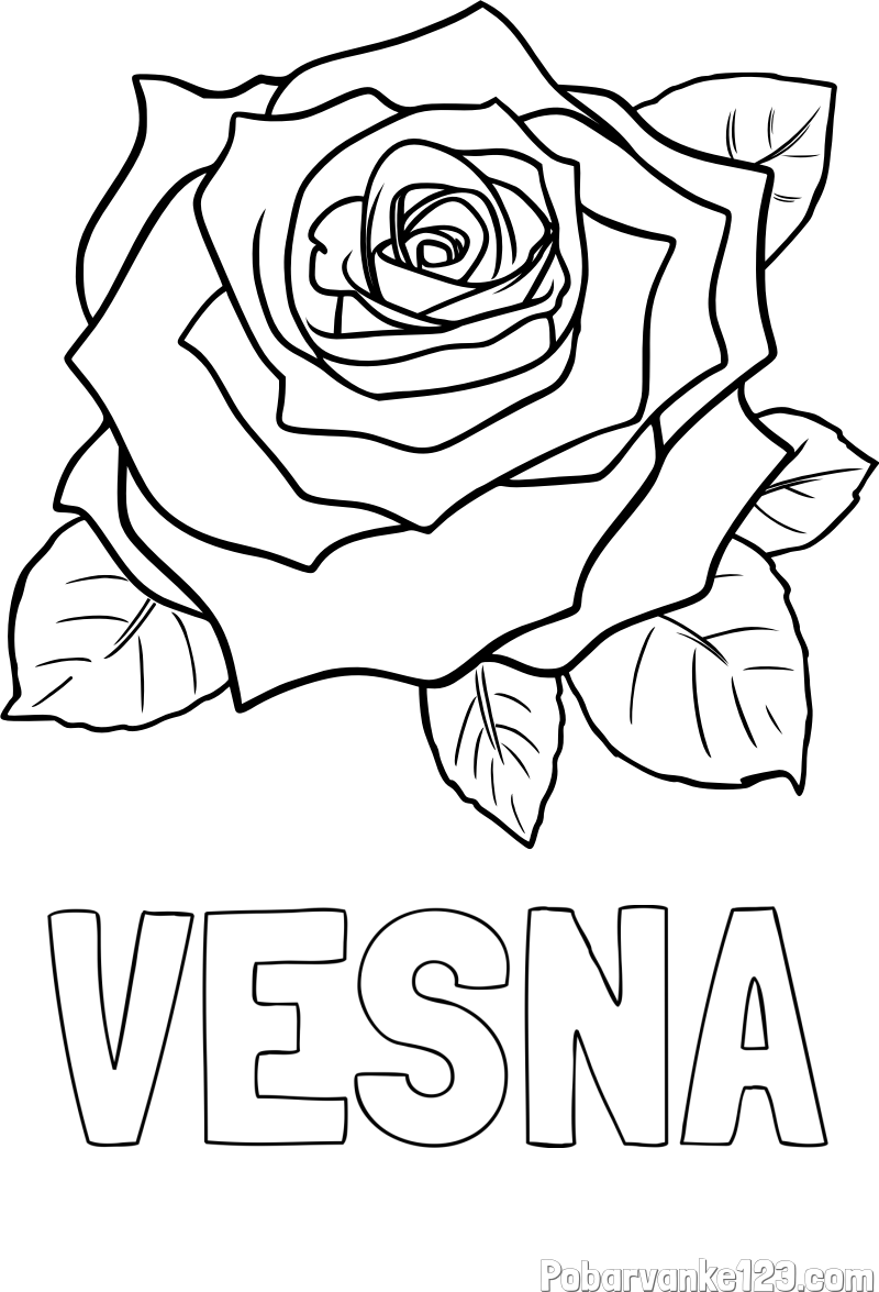Pobarvanka imena VESNA in pobarvanka vrtnice