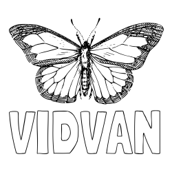 Online izdelana pobarvanka - Pobarvanka imena VIDVAN in pobarvanka metulja