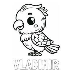 Online izdelana pobarvanka - Pobarvanka imena VLADIMIR in pobarvanka ljubkega papagaja