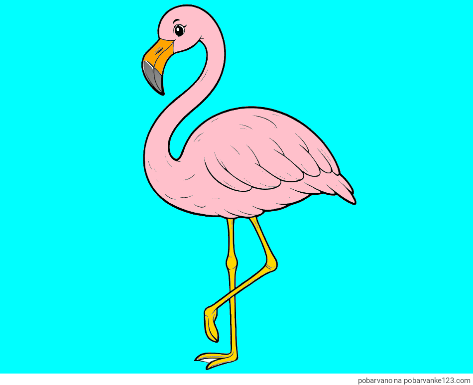 POBARVANA POBARVANKA - Pobarvanka flaminga