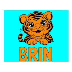 POBARVANA POBARVANKA - Pobarvanka imena BRIN in pobarvanka tigrček