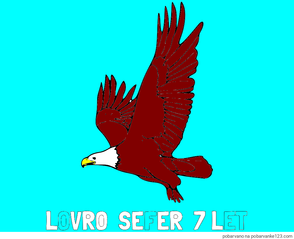POBARVANA POBARVANKA - Pobarvanka imena LOVRO  ŠEFER  7 LET in pobarvanka orla v letu