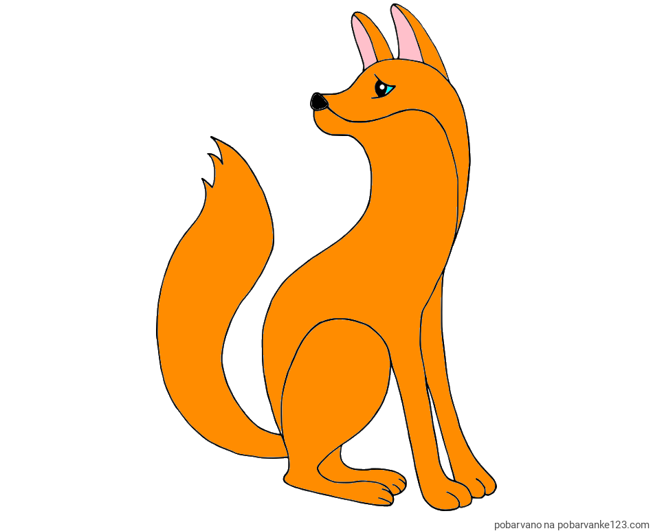 POBARVANA POBARVANKA - Pobarvanka ljubke lisičke