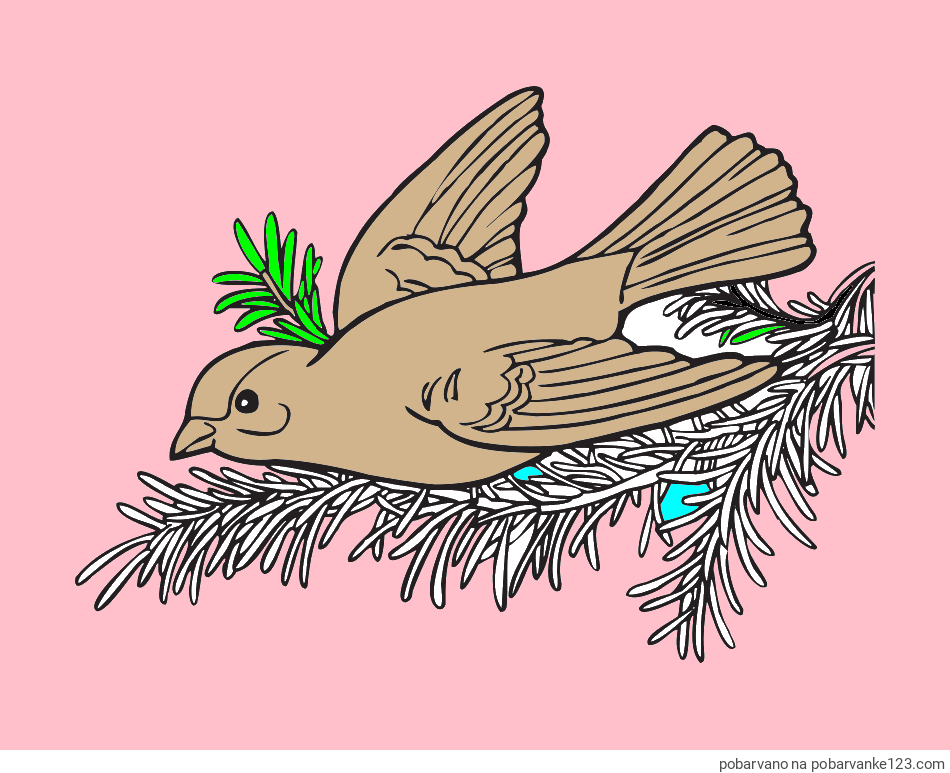 POBARVANA POBARVANKA - Pobarvanka ptice na vejici