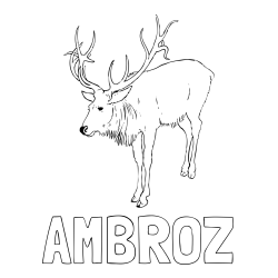 Online izdelana pobarvanka - Pobarvanka imena AMBROŽ in pobarvanka velikega jelena