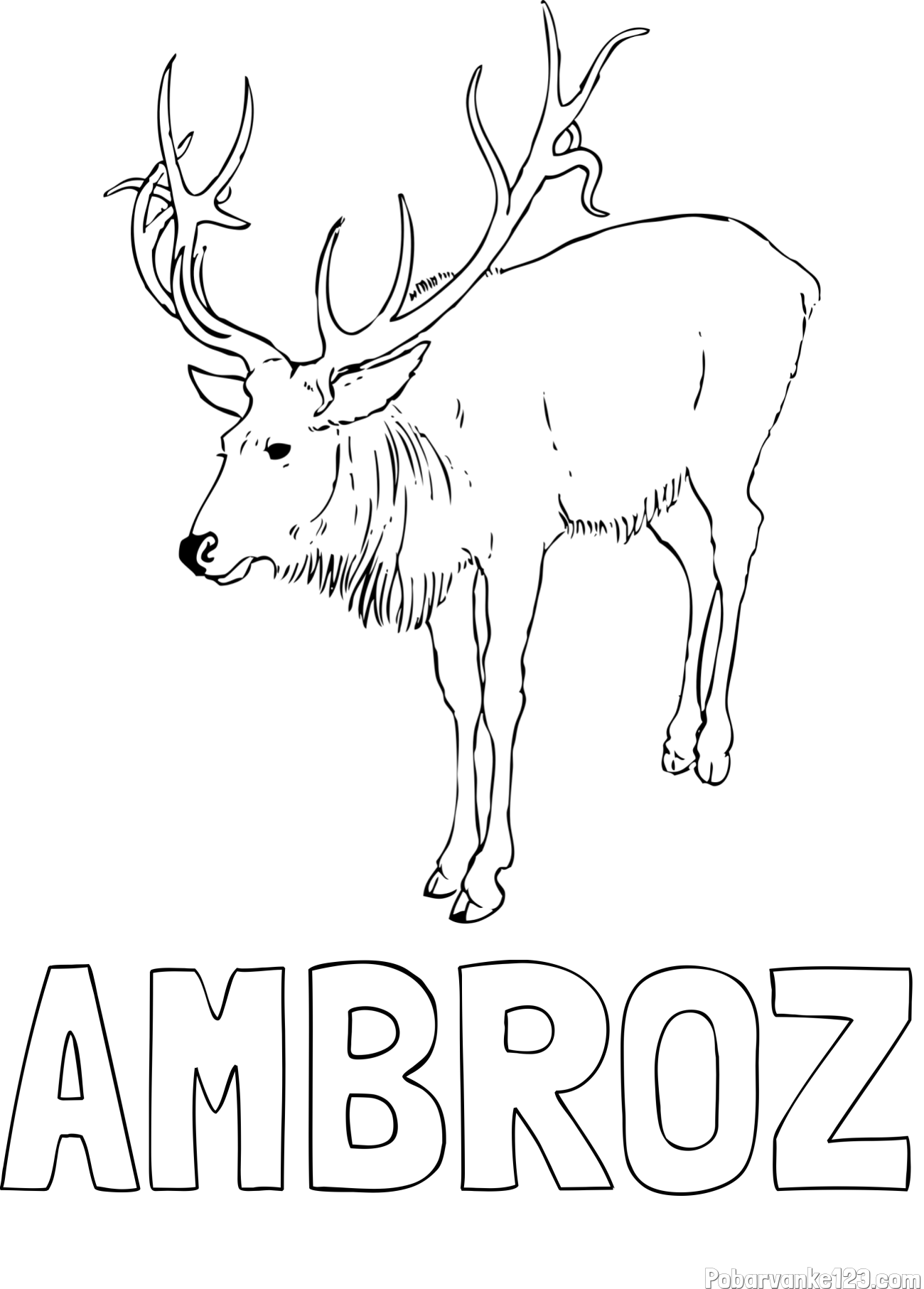 Pobarvanka imena AMBROŽ in pobarvanka velikega jelena