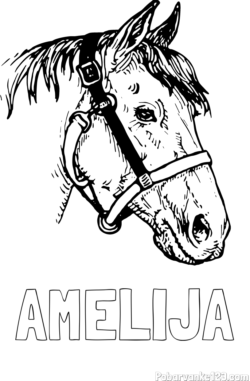 Pobarvanka imena AMELIJA in konjska glava