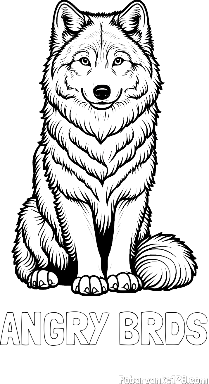 Pobarvanka imena ANGRY BRDS in pobarvanka prijaznega volka