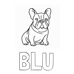 Online izdelana pobarvanka - Pobarvanka imena BLU in pobarvanka francoskega buldoga