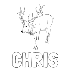Online izdelana pobarvanka - Pobarvanka imena CHRIS in pobarvanka velikega jelena