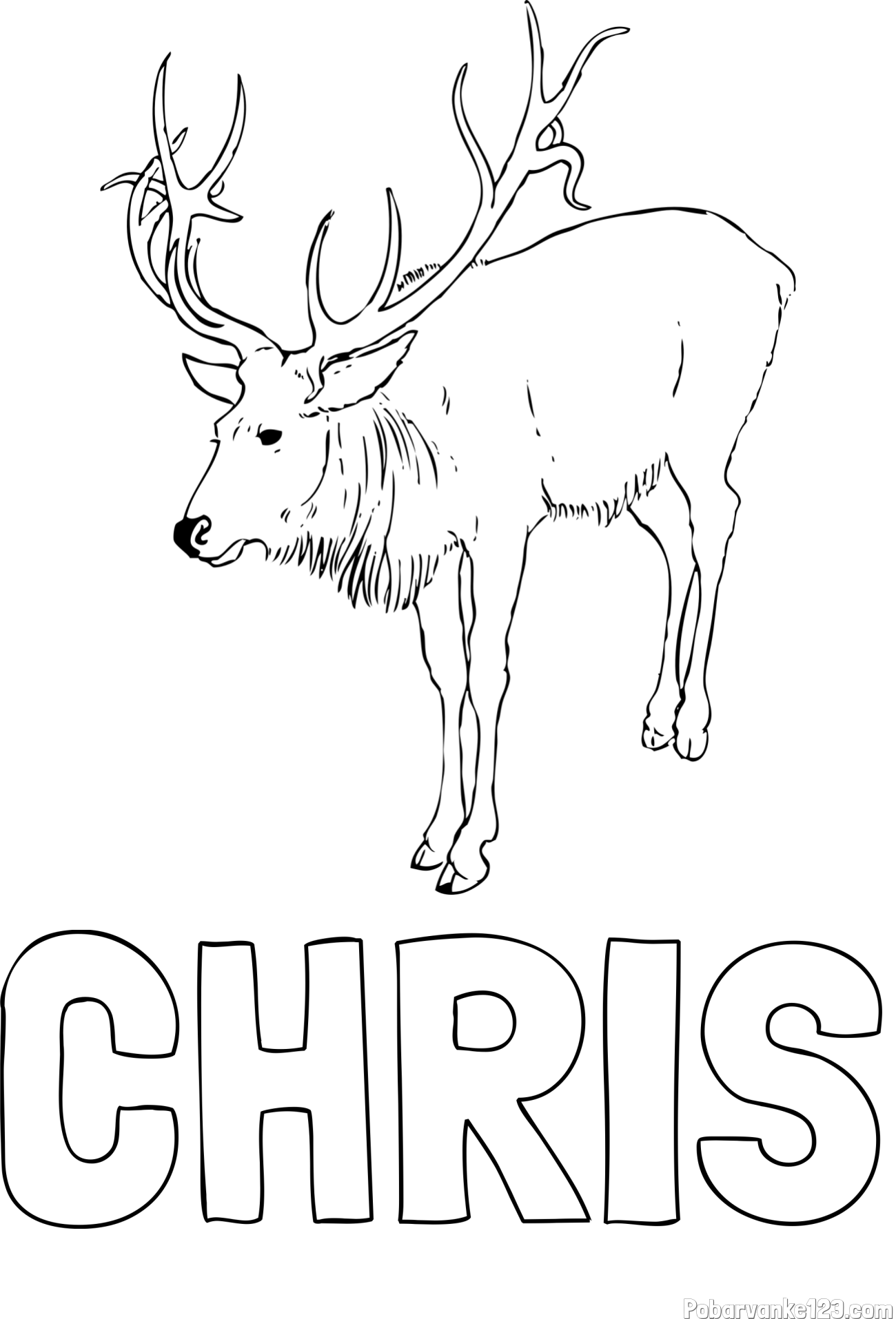 Pobarvanka imena CHRIS in pobarvanka velikega jelena