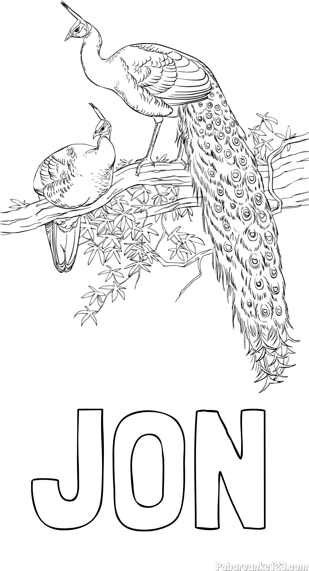 Pobarvanka imena JON in pobarvanka pava