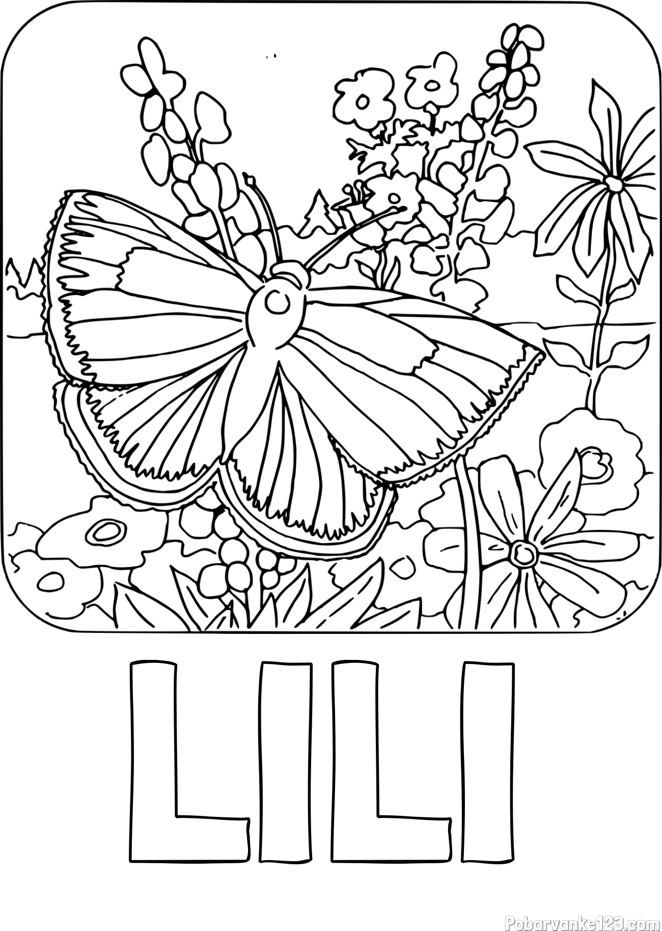 Pobarvanka imena LILI in pobarvanka metulja v naravi