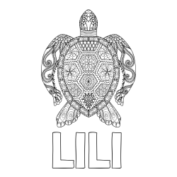 Online izdelana pobarvanka - Pobarvanka imena LILI in pobarvanka želve - mandale