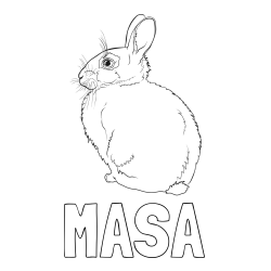Online izdelana pobarvanka - Pobarvanka imena MAŠA in pobarvanka debelega zajca