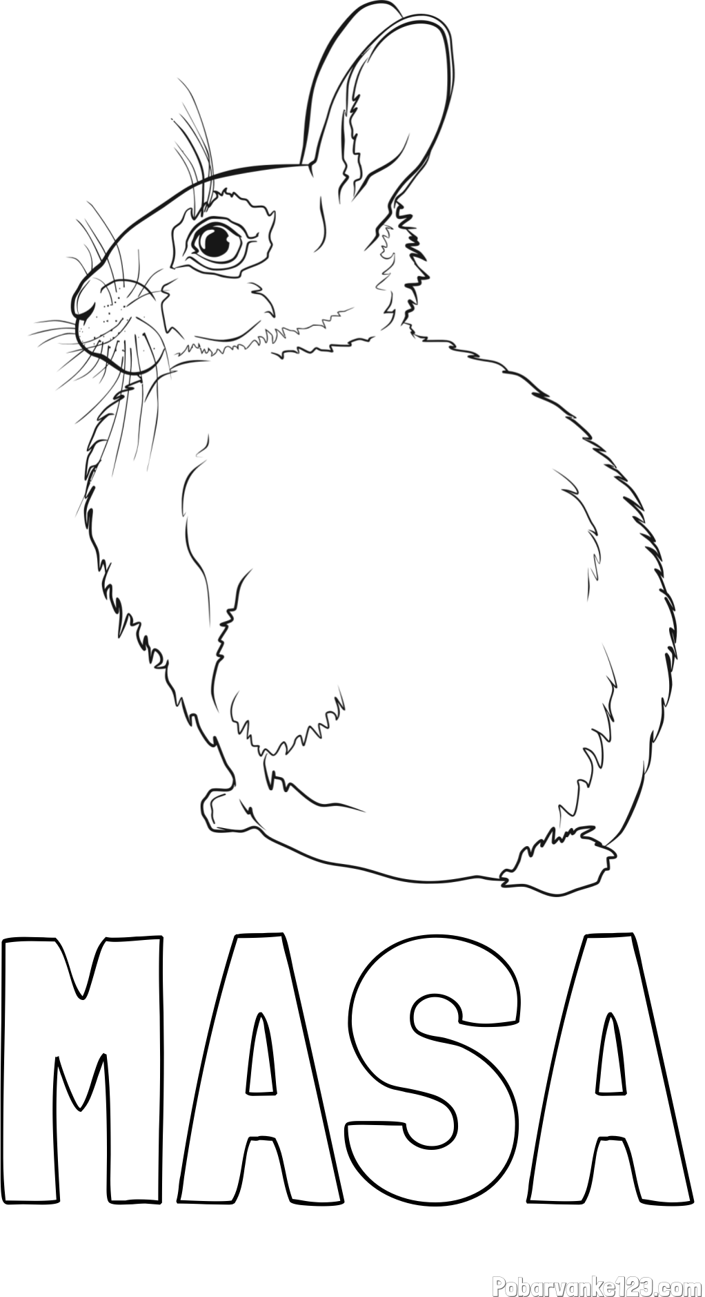 Pobarvanka imena MAŠA in pobarvanka debelega zajca