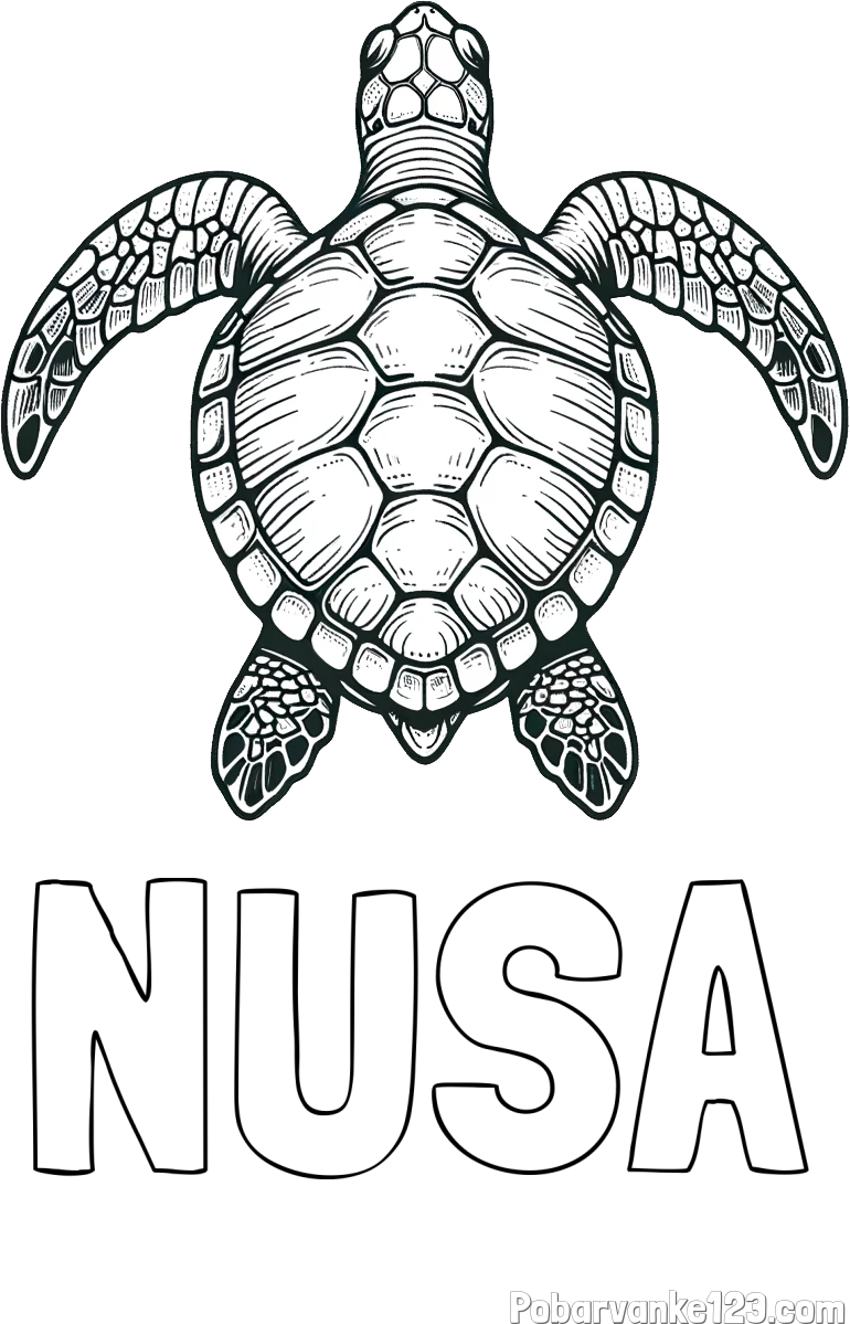 Pobarvanka imena NUŠA in enostavna pobarvanka želve