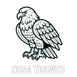 Online izdelana pobarvanka - Pobarvanka imena NUŠA TISOVEC in pobarvanka orla