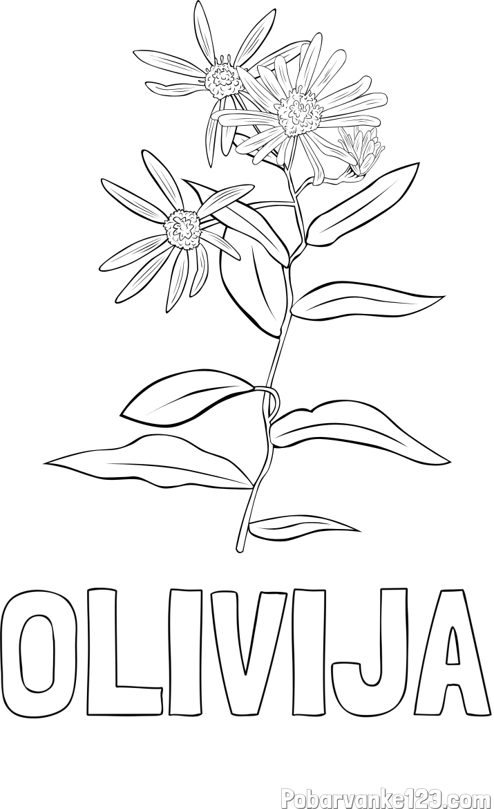 Pobarvanka imena OLIVIJA in pobarvanka cvetlice