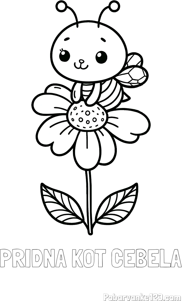 Pobarvanka imena PRIDNA KOT ČEBELA in pobarvanka ljubke čebelice na roži