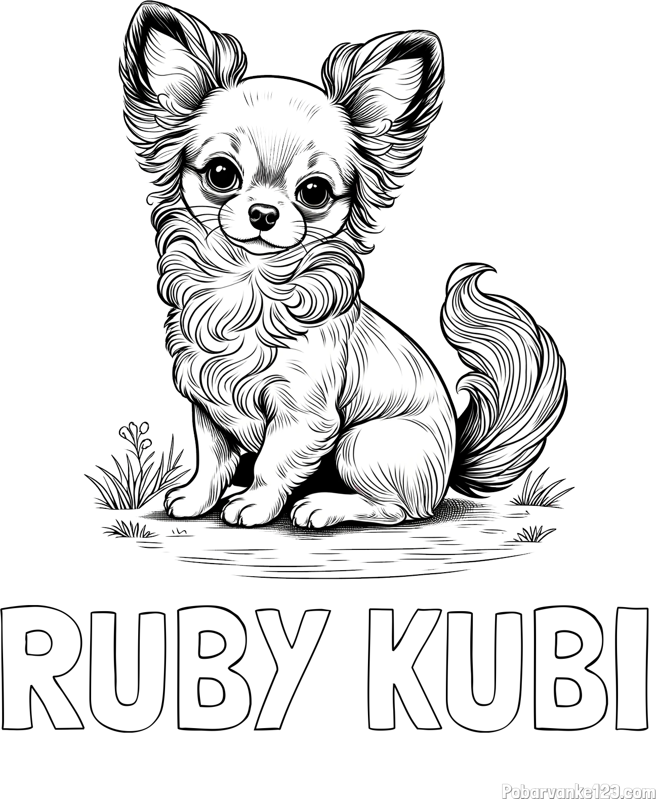 Pobarvanka imena RUBY KUBI in pobarvanka ljubke čivave