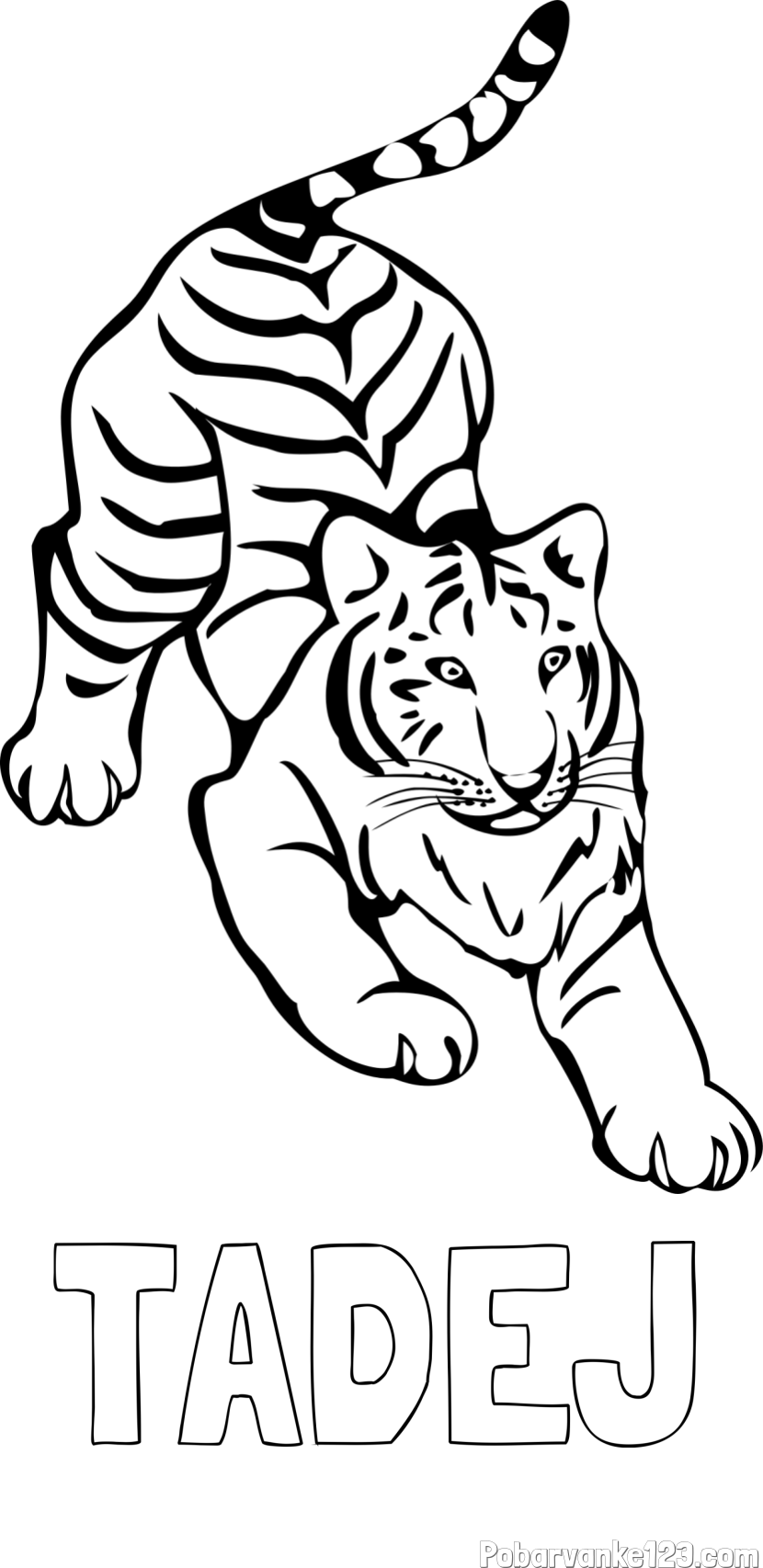 Pobarvanka imena TADEJ in pobarvanka velikega tigra