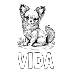 Online izdelana pobarvanka - Pobarvanka imena VIDA in pobarvanka ljubke čivave