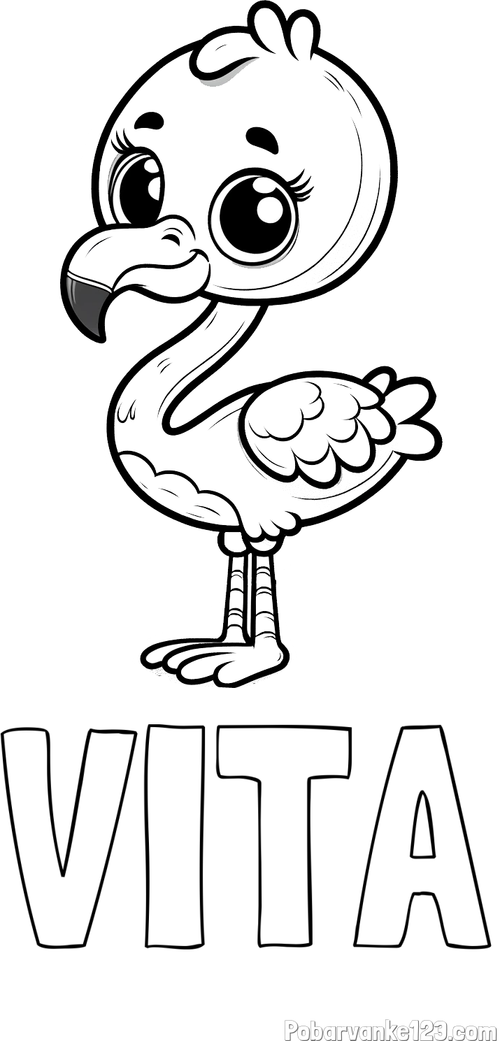 Pobarvanka imena VITA in pobarvanka majhnega flaminga