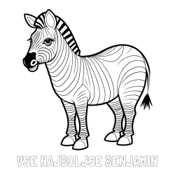 Online izdelana pobarvanka - Pobarvanka imena VSE NAJBOLJŠE BENJAMIN in pobarvanka ljubke zebre