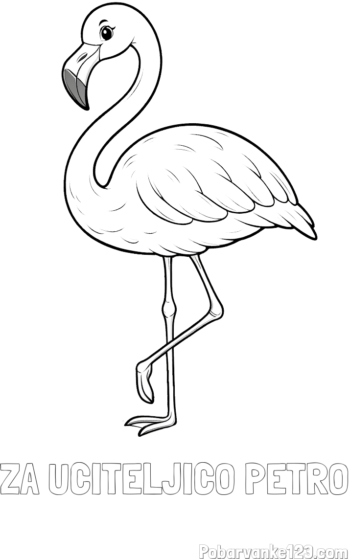 Pobarvanka imena ZA UČITELJICO PETRO in pobarvanka flaminga