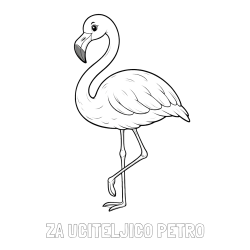 Online izdelana pobarvanka - Pobarvanka imena ZA UČITELJICO PETRO in pobarvanka flaminga