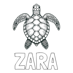 Online izdelana pobarvanka - Pobarvanka imena ZARA in enostavna pobarvanka želve