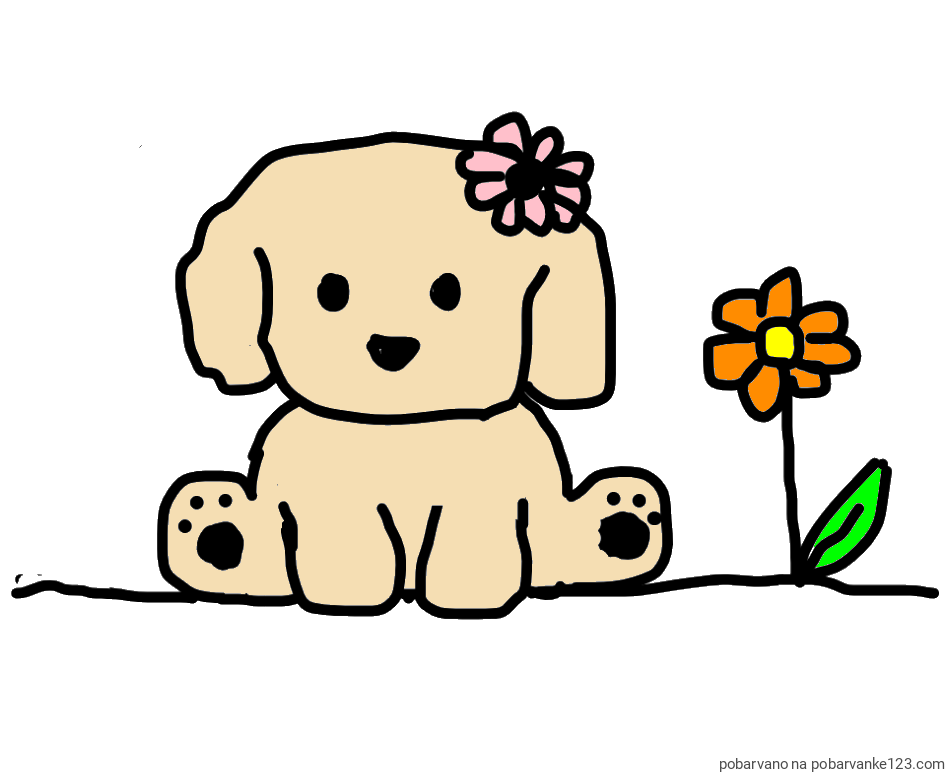 POBARVANA POBARVANKA - KUŽIKA