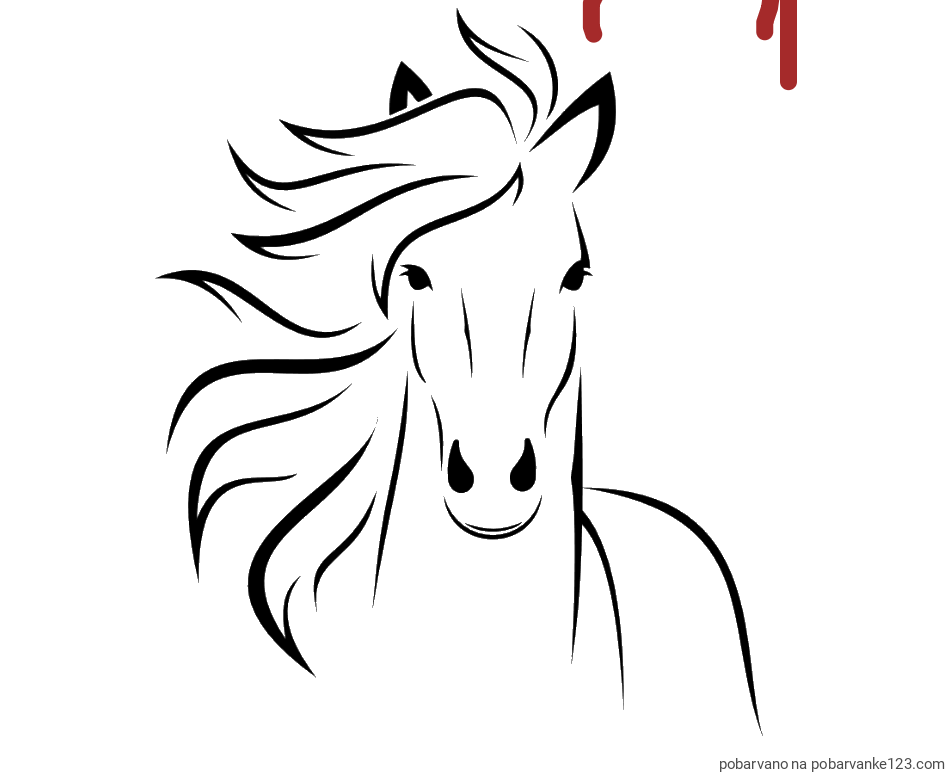 POBARVANA POBARVANKA - Lepa pobarvanka konja