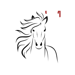 Pobarvana pobarvanka - Lepa pobarvanka konja