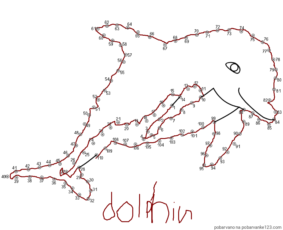 POBARVANA POBARVANKA - Pobarvanka delfina - poveži številke