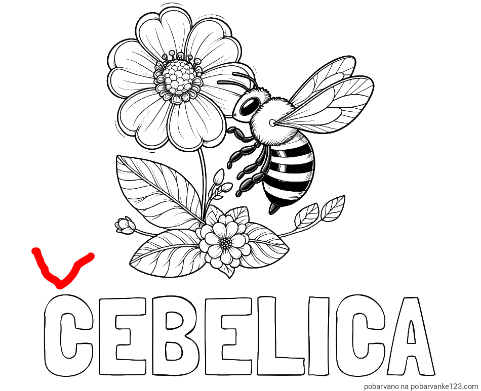 POBARVANA POBARVANKA - Pobarvanka imena ČEBELICA in otroška pobarvanka čebelice in rožice