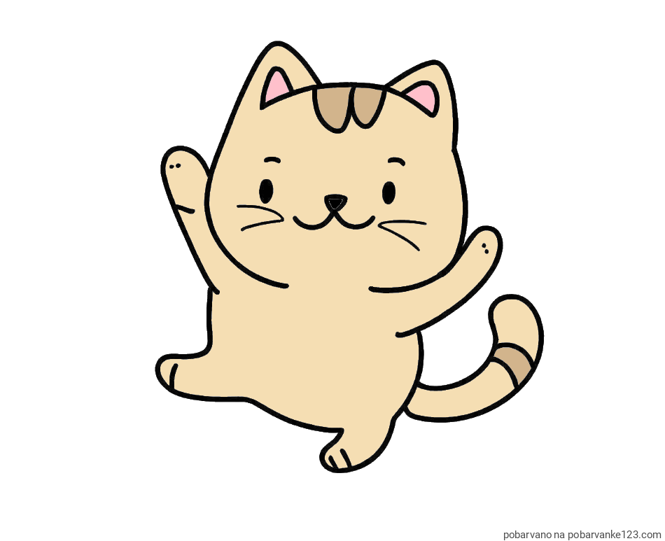 POBARVANA POBARVANKA - Pobarvanka razigrane mačke