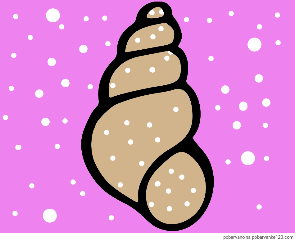 POBARVANA POBARVANKA - Pobarvanka školjke morskega polžka