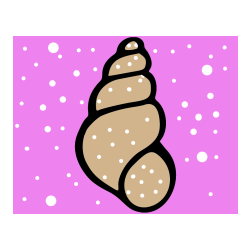 POBARVANA POBARVANKA - Pobarvanka školjke morskega polžka