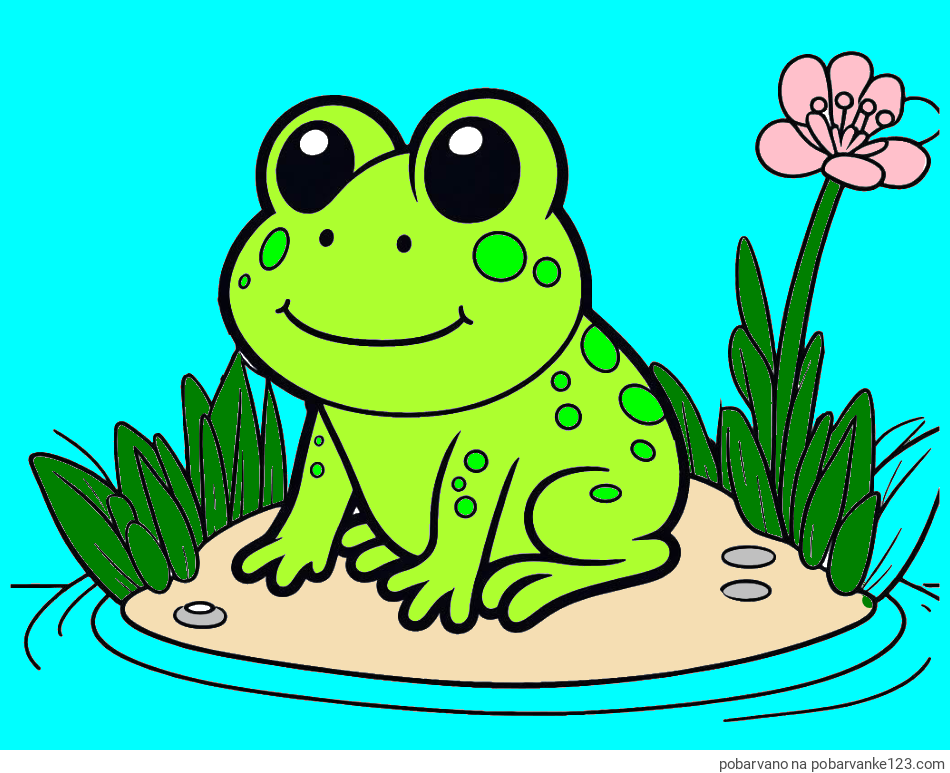 POBARVANA POBARVANKA - Pobarvanka žabe
