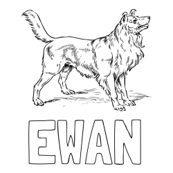 Online izdelana pobarvanka - Pobarvanka imena EWAN in pobarvanka prikupnega in prijaznega kužka