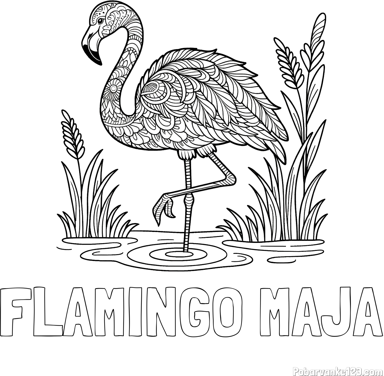 Pobarvanka imena FLAMINGO MAJA in pobarvanka flaminga z abstraktnimi vzorci