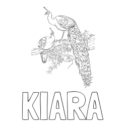 Online izdelana pobarvanka - Pobarvanka imena KIARA in pobarvanka pava