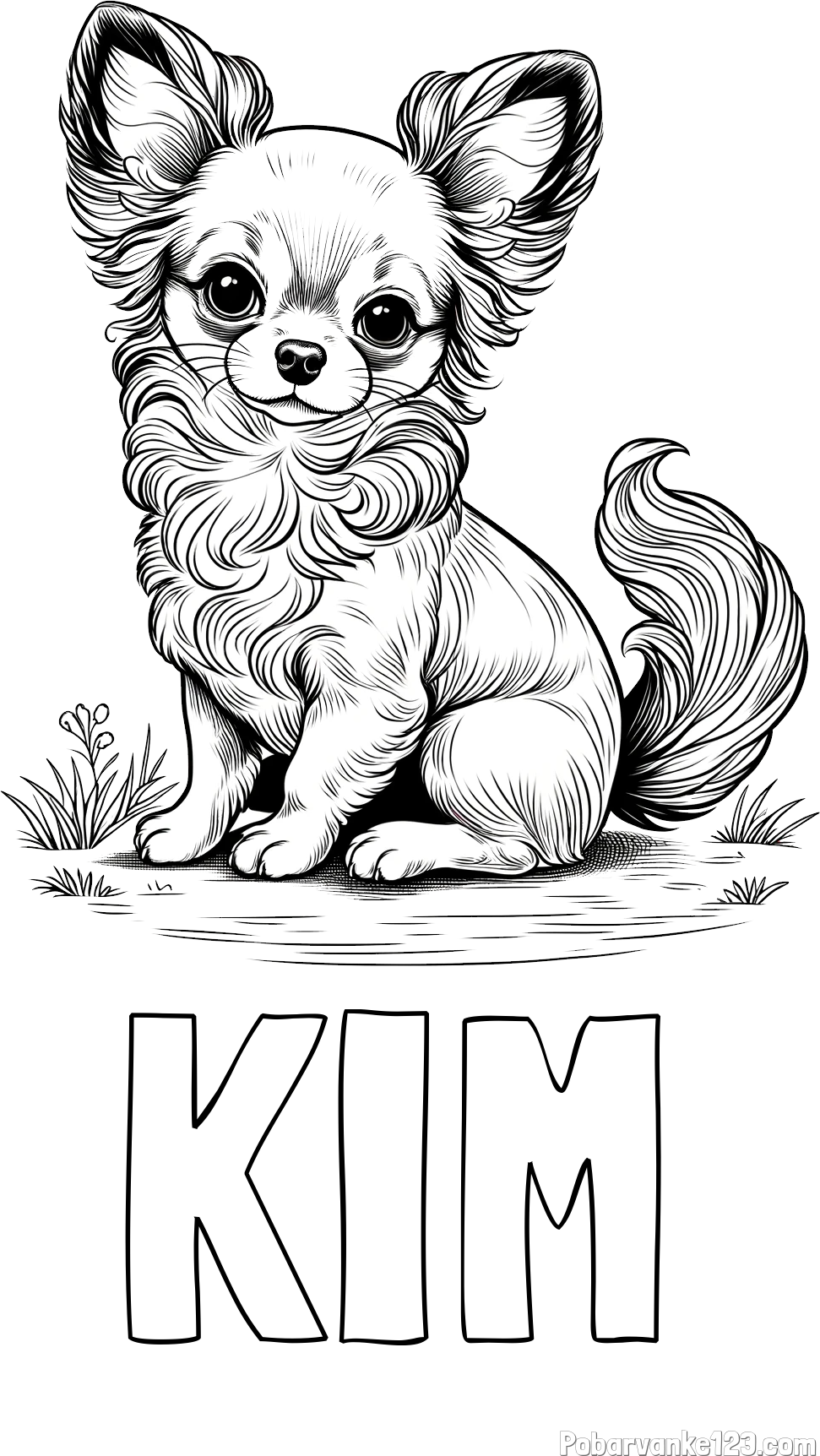 Pobarvanka imena KIM in pobarvanka ljubke čivave