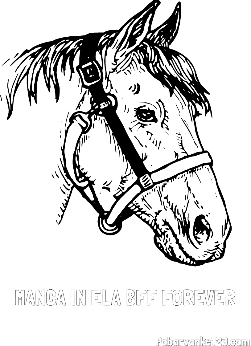 Pobarvanka imena MANCA IN ELA BFF FOREVER in konjska glava