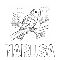 Online izdelana pobarvanka - Pobarvanka imena MARUŠA in pobarvanka ljubkega kanarčka na veji