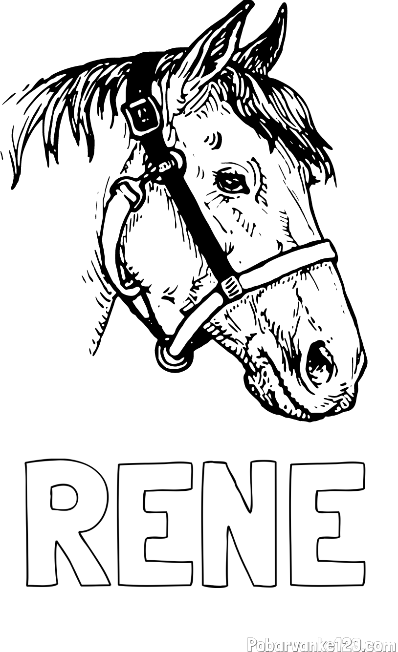 Pobarvanka imena RENE in konjska glava