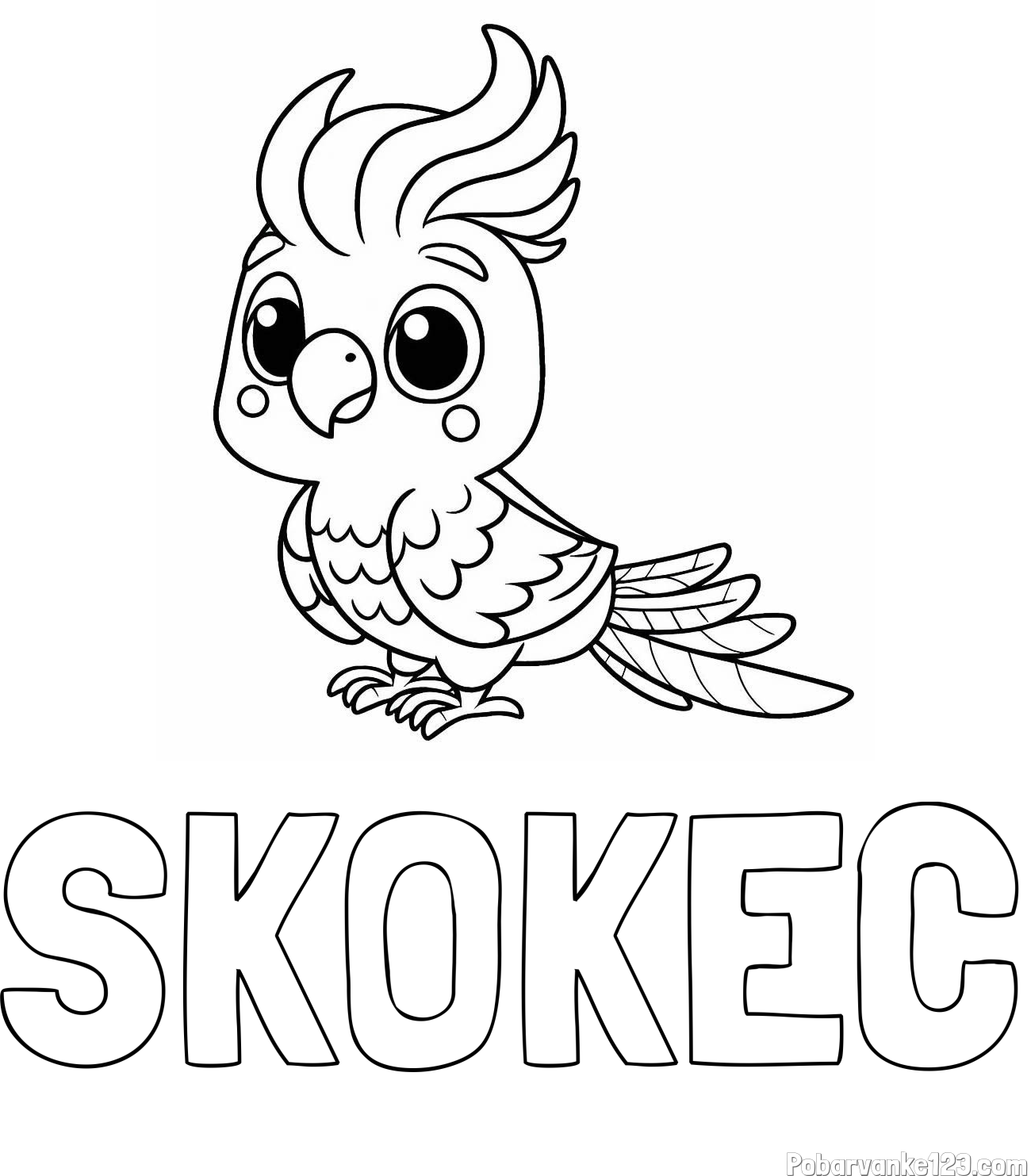 Pobarvanka imena SKOKEC in pobarvanka ljubke papige