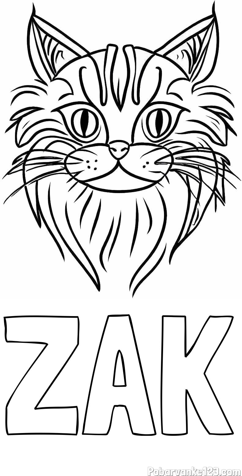 Pobarvanka imena ŽAK in pobarvanka mačje glave